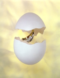 Jewelry13.jpg
