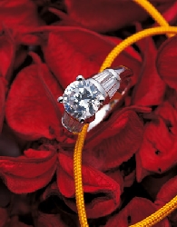 Jewelry18.jpg