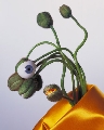 PVEX07-01.jpg