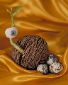 PVEX07-14.jpg