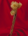 PVEX04-10.jpg