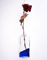 PVEX05-07.jpg
