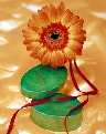 PVEX06-08.jpg