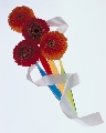 PVEX06-07.jpg