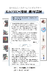 柴原薫写真展2 copy.tif