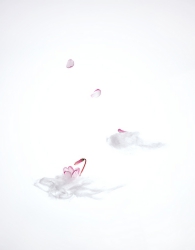 PVEX10-SKY-F copy.jpg