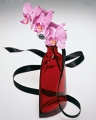 PVEX10-6 Lady Orchid copy.jpg