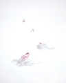 PVEX10-SKY-F copy.jpg