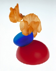 PVEX06-12.jpg