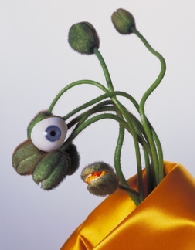 PVEX07-01.jpg