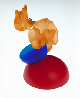 PVEX05-06.jpg