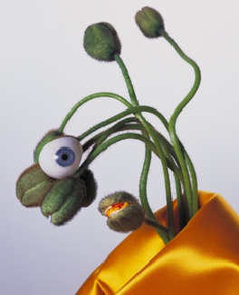 PVEX07-01.jpg
